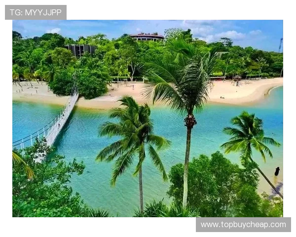 圣淘沙娱乐:体验世界级的赌场娱乐与奢华度假村的完美结合 圣淘沙娱乐:体验世界级的赌场娱乐与奢华度假村的完美结合