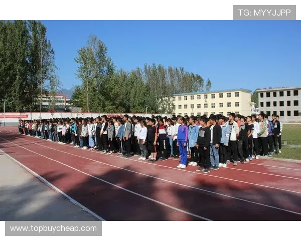 ng体育在体育产业链中的角色定位与合作伙伴关系分析