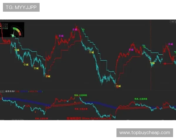 全面解析NG南宫滚球盘的规则与策略帮助玩家实现稳健盈利