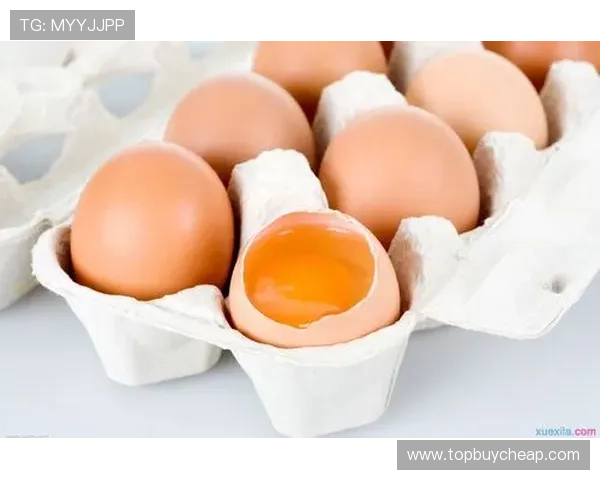 NG南宫国际版玩家常见问题解答，帮助新手快速上手并解决游戏中遇到的各种难题