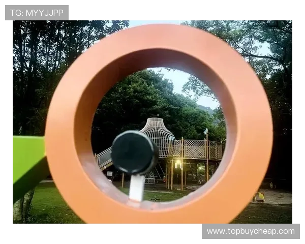 南宫体育公园的儿童游乐区及家庭休闲区域推荐,打造亲子互动的理想场所