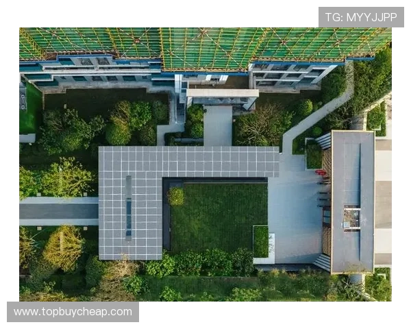 南宫壹号国际：未来发展规划与行业竞争中持续领跑的关键因素