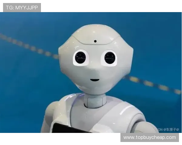 南宫电脑版官网提供多平台兼容性与系统需求说明