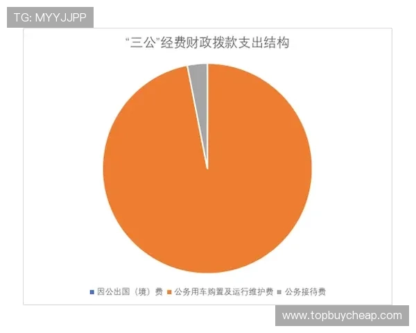 三公游戏官网安全保障措施详解，保障玩家账号信息与资金安全的实用指南